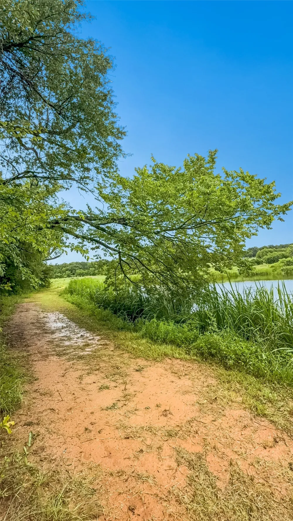 9224 County Road 1200 Athens, TX 75751