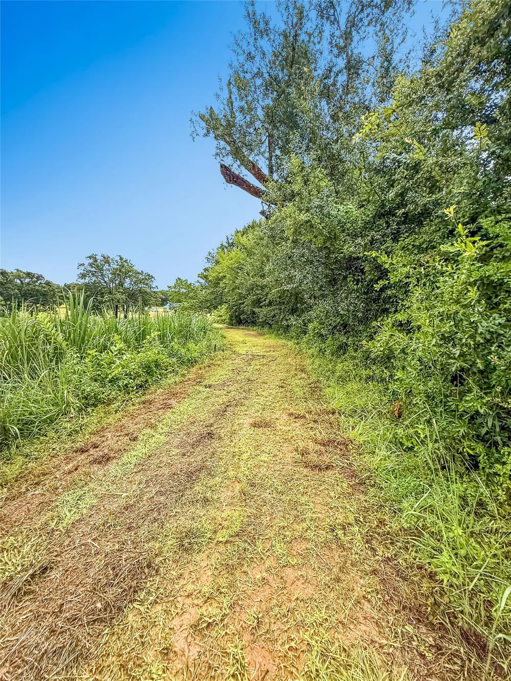 9224 County Road 1200 Athens, TX 75751