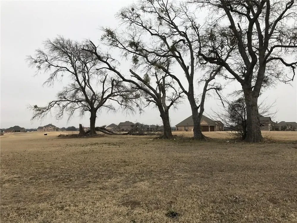 1922 Running Deer Lane Gunter, TX 75058