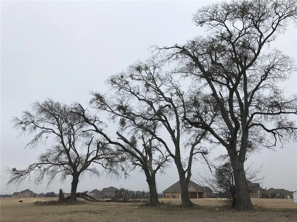 1922 Running Deer Lane Gunter, TX 75058