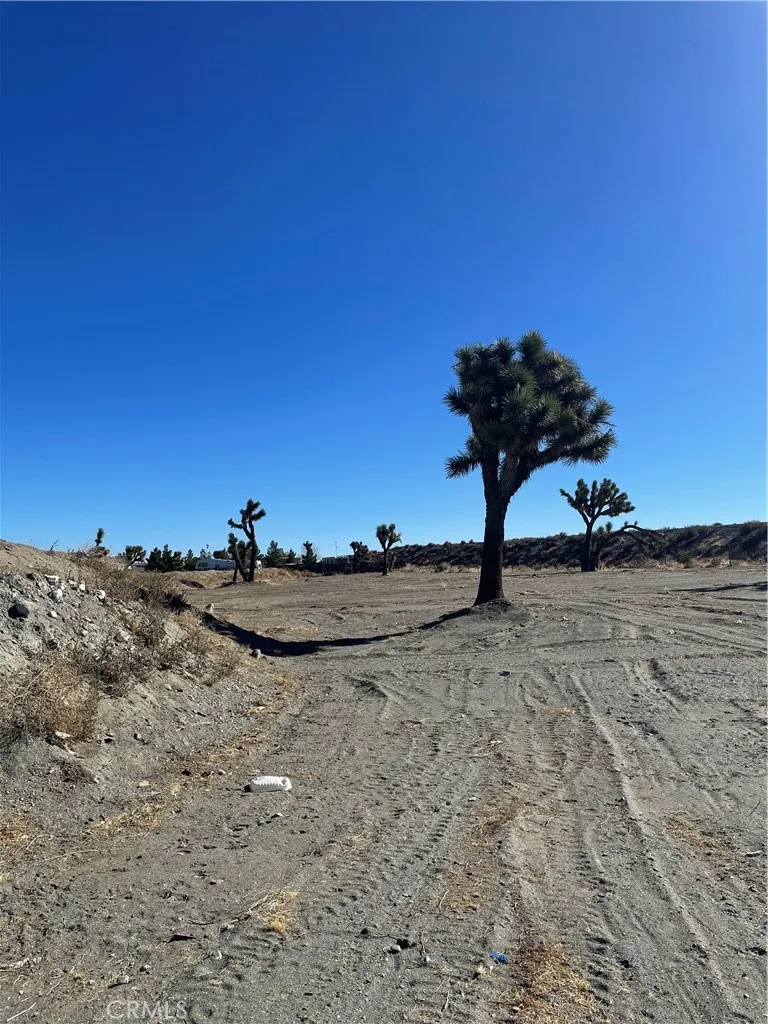 Rosado Road Pinon Hills, CA 92372