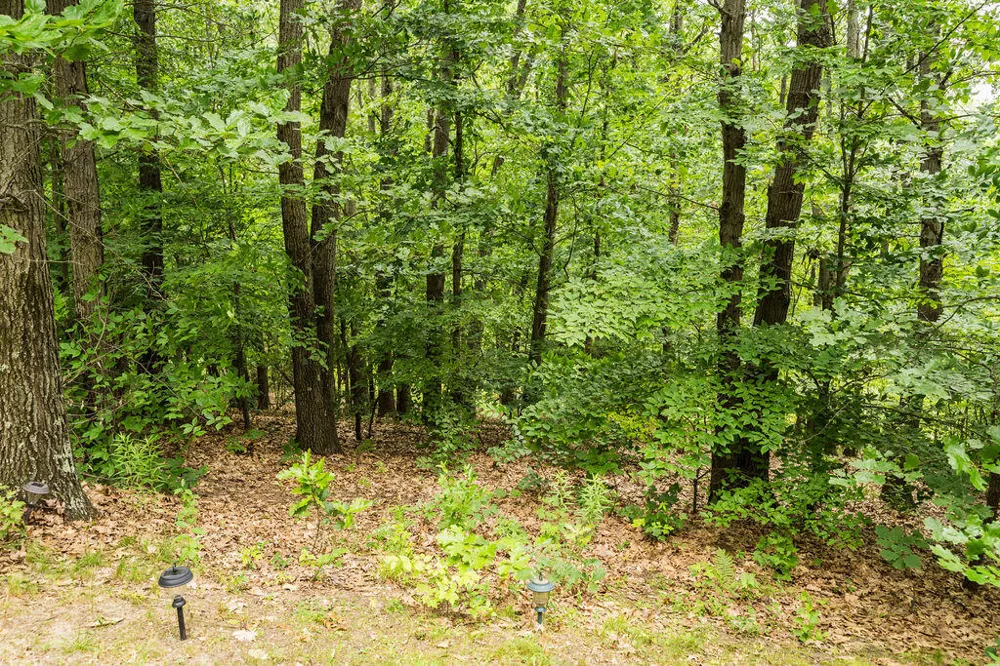 8319 Pine Island Drive NE Plainfield Charter Township, MI 49321