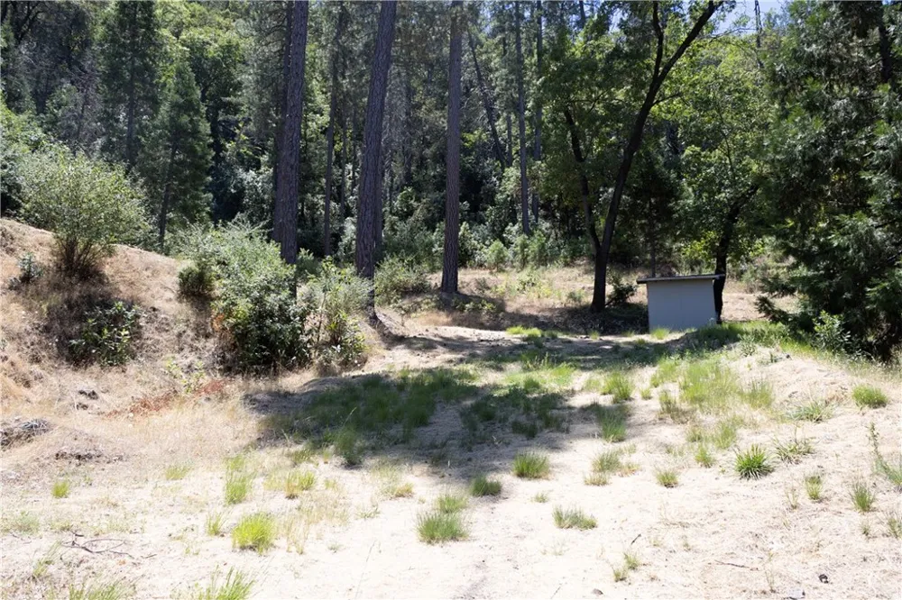 74 Lakeview Ridge Oroville, CA 95966