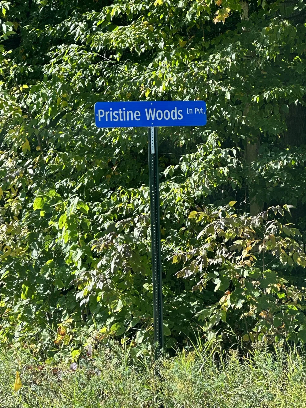 Pristine Woods Lane Bellaire, MI 49615