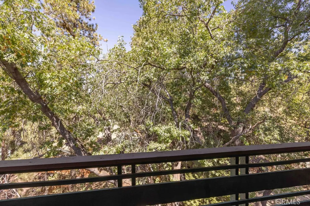 42598 Alta Vista Avenue Big Bear Lake, CA 92315