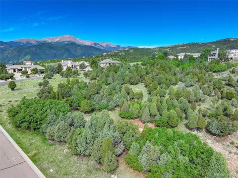 3585 Twisted Oak Circle