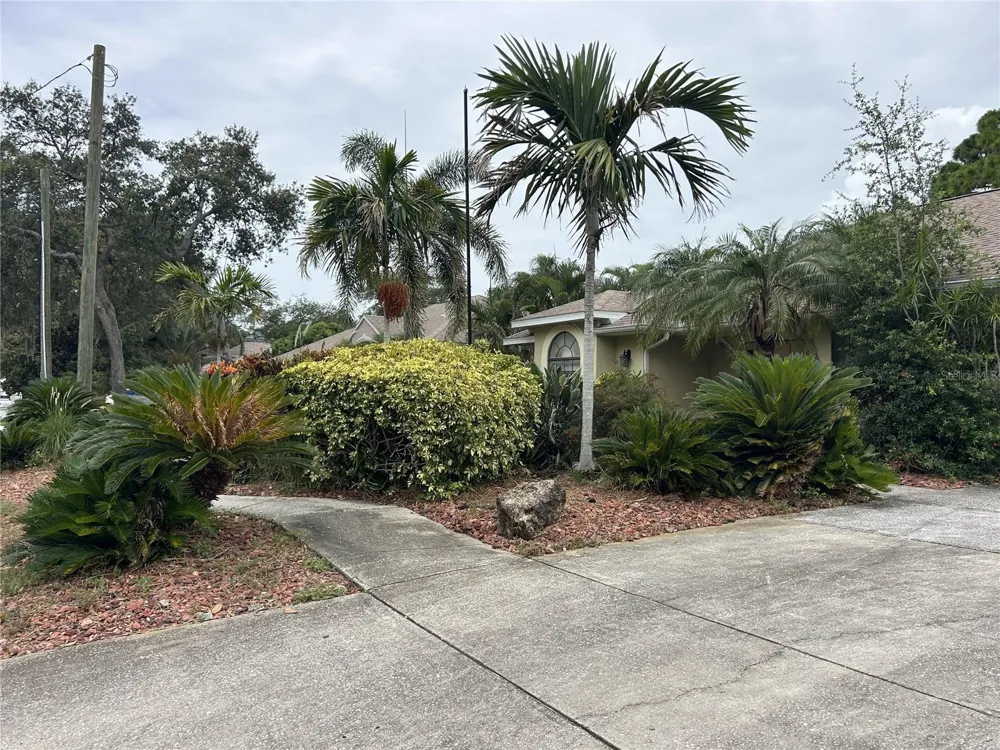 1612 GULF BEACH BOULEVARD Tarpon Springs, FL 34689