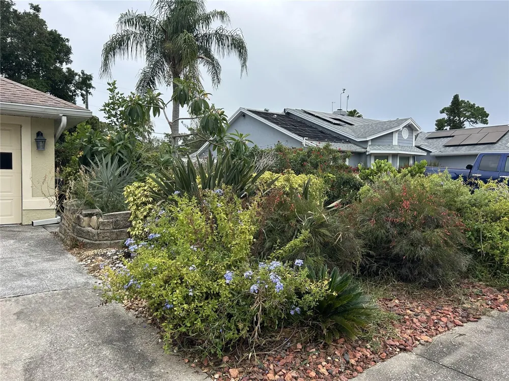 1612 GULF BEACH BOULEVARD Tarpon Springs, FL 34689