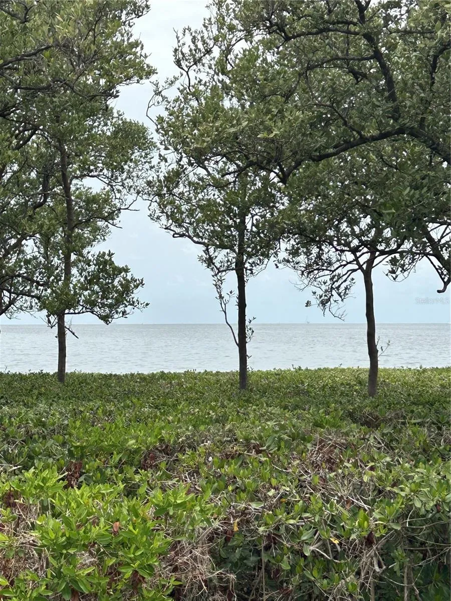 1612 GULF BEACH BOULEVARD Tarpon Springs, FL 34689