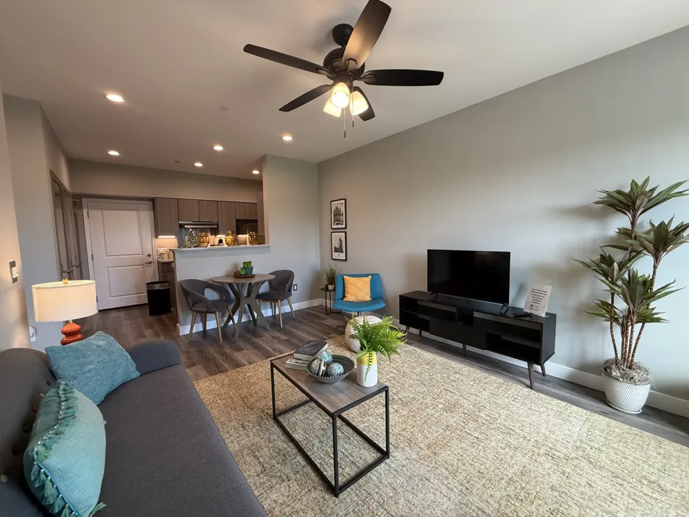 146 Autumn Towne Way Murfreesboro, TN 37128
