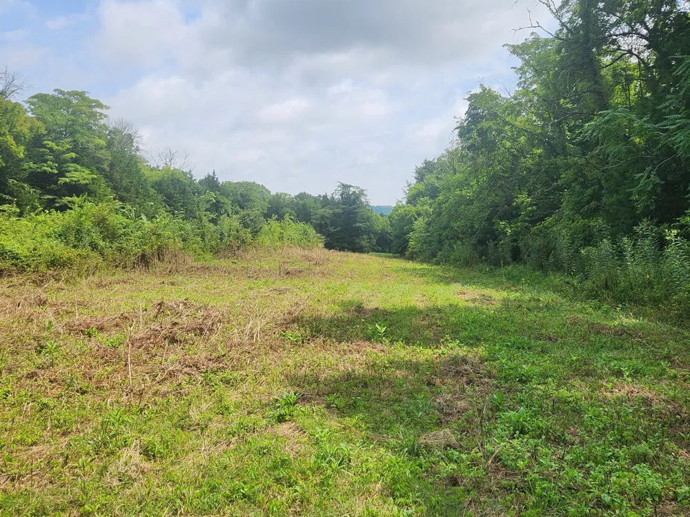 0 Tolbert Hollow Rd Bradyville, TN 37026