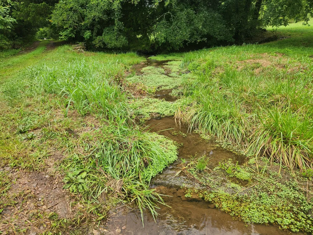 0 Tolbert Hollow Rd Bradyville, TN 37026