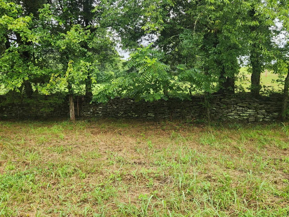 0 Tolbert Hollow Rd Bradyville, TN 37026