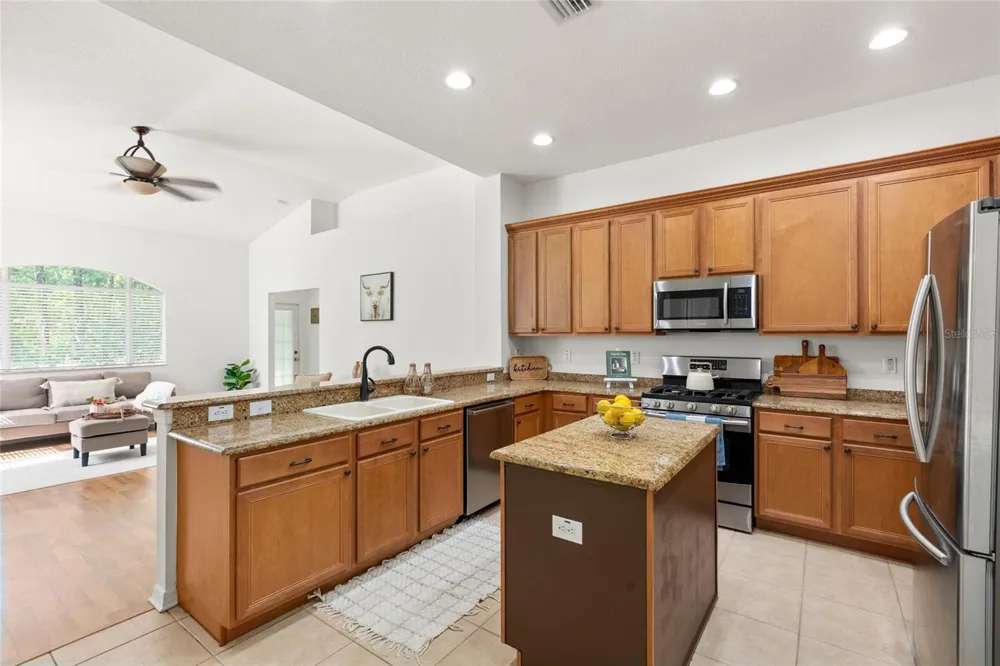 16132 IVY LAKE DRIVE Odessa, FL 33556