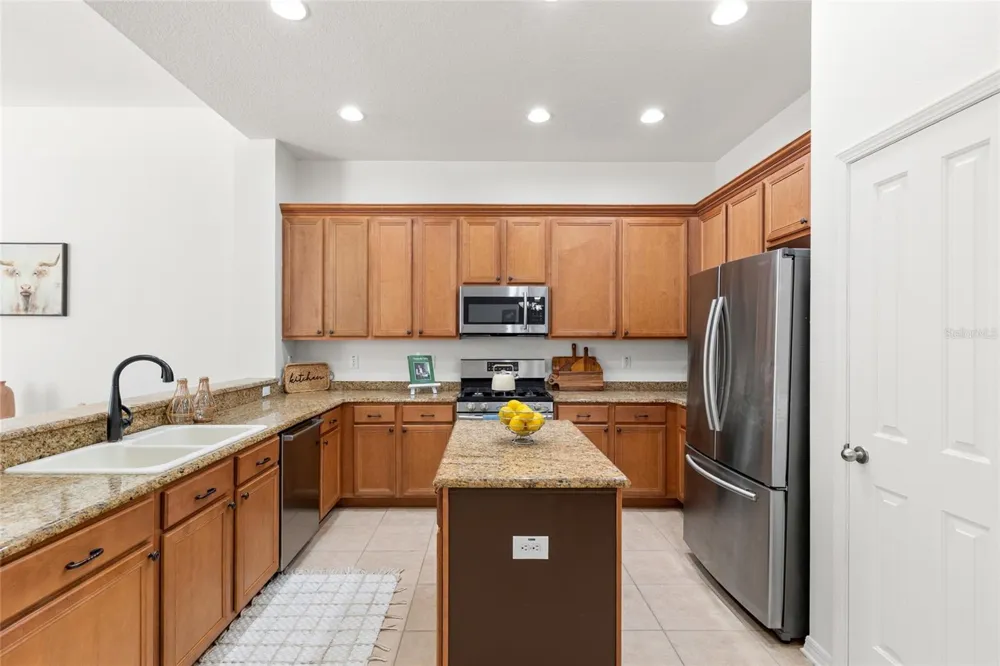 16132 IVY LAKE DRIVE Odessa, FL 33556