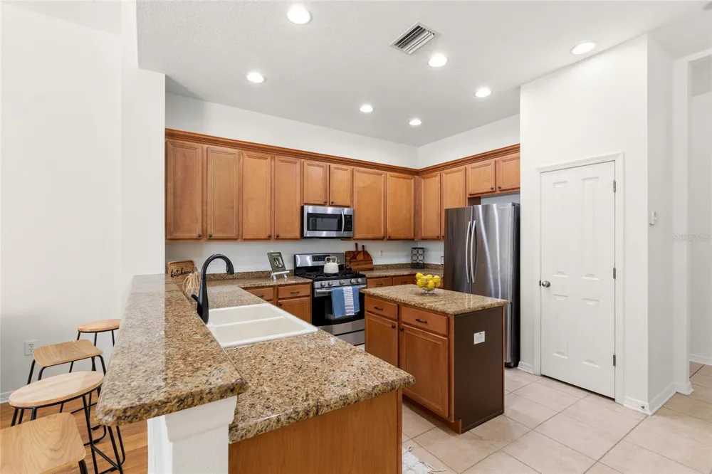 16132 IVY LAKE DRIVE Odessa, FL 33556