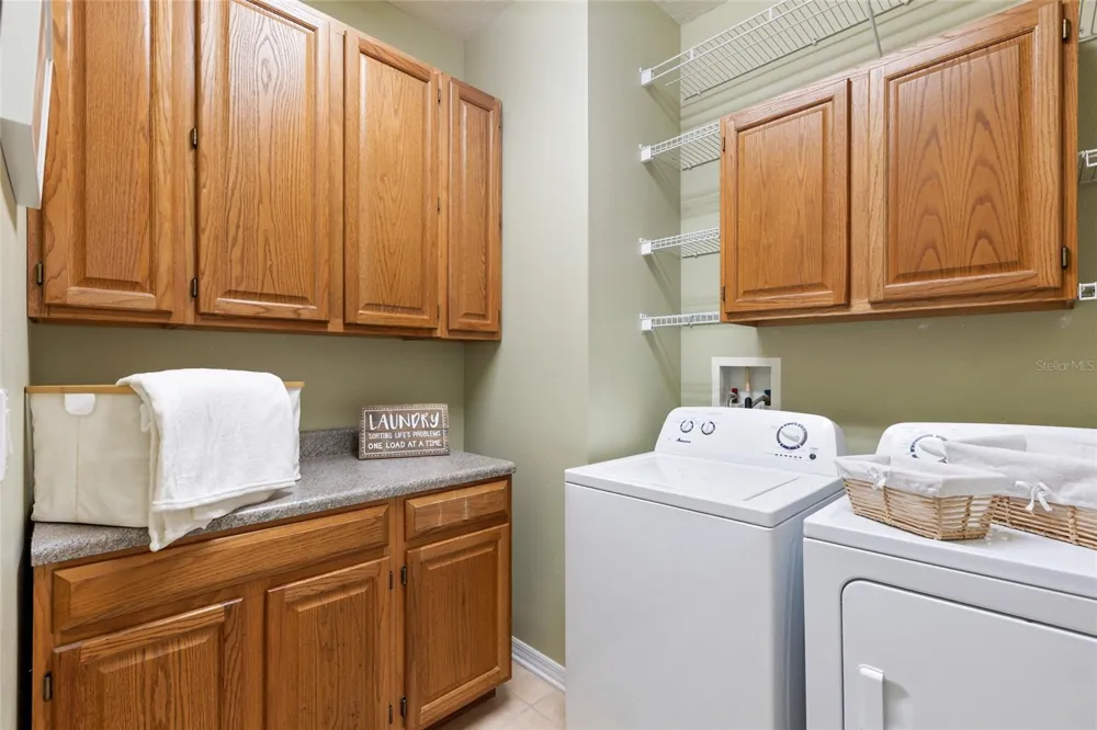 16132 IVY LAKE DRIVE Odessa, FL 33556