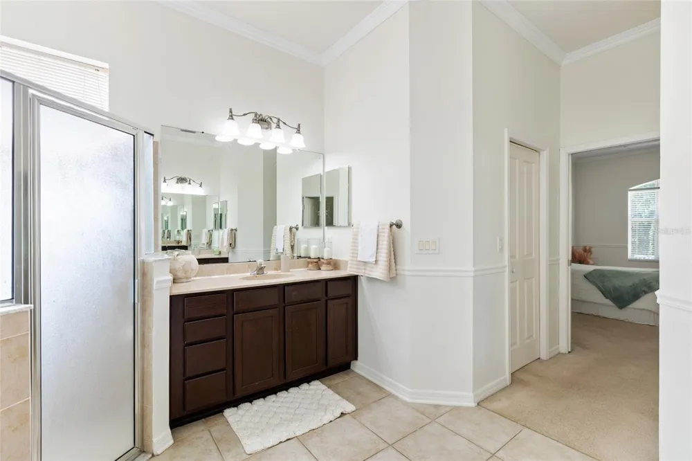 16132 IVY LAKE DRIVE Odessa, FL 33556