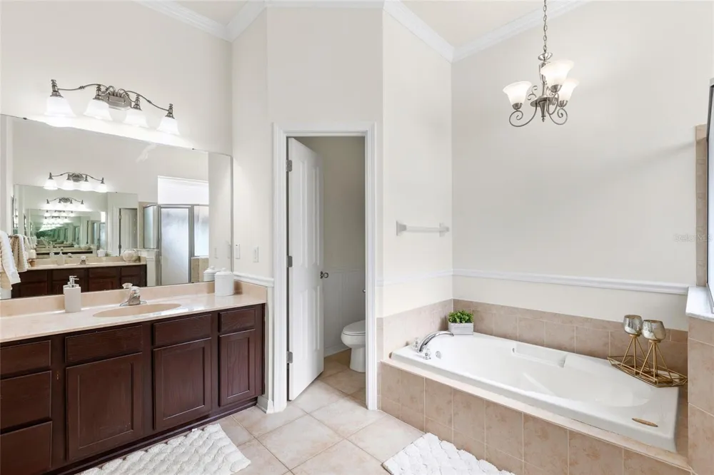 16132 IVY LAKE DRIVE Odessa, FL 33556