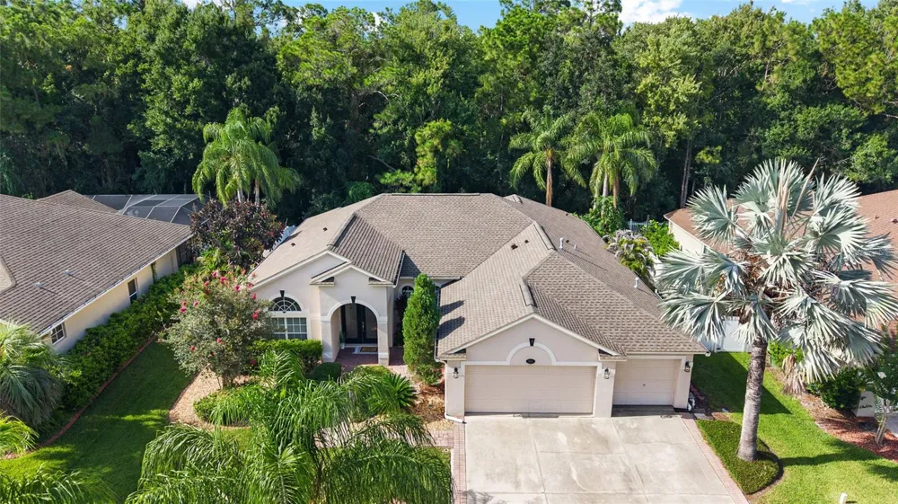 16132 IVY LAKE DRIVE Odessa, FL 33556