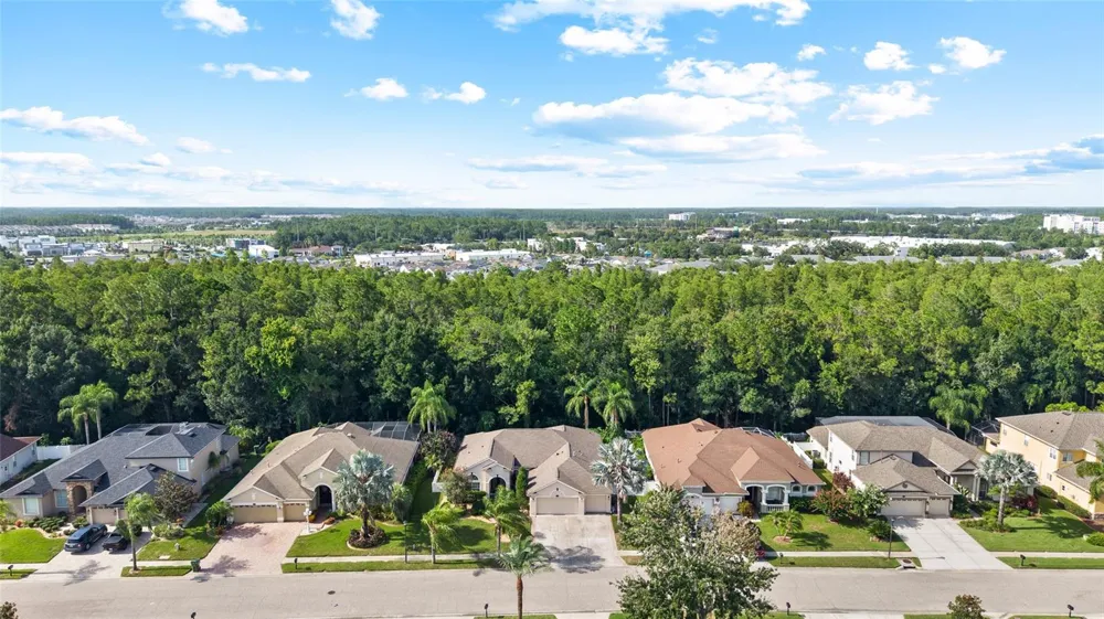 16132 IVY LAKE DRIVE Odessa, FL 33556