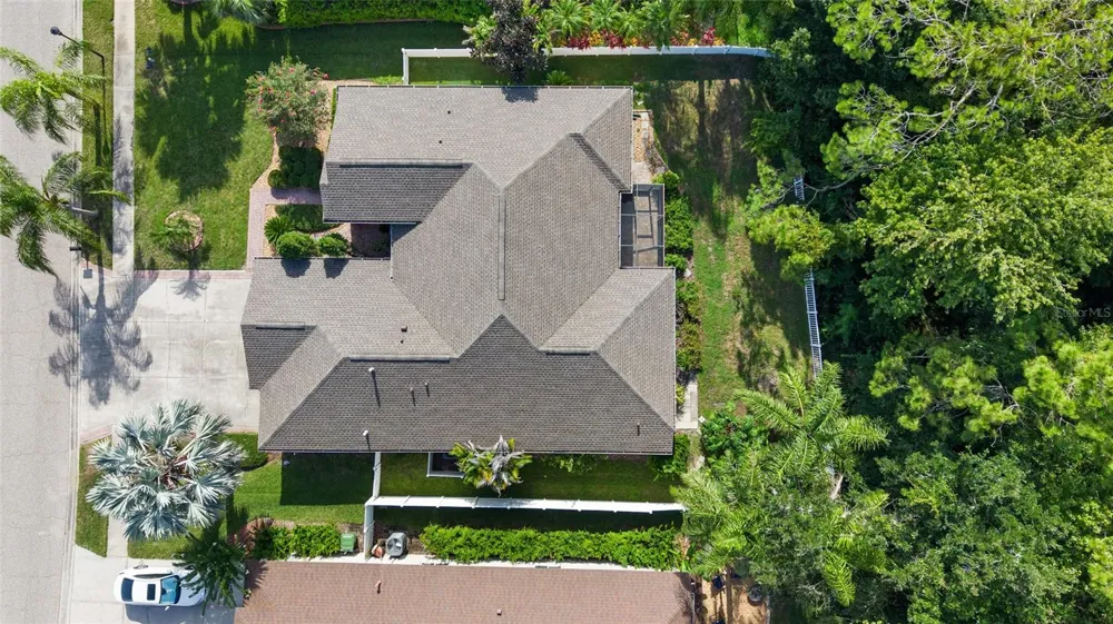 16132 IVY LAKE DRIVE Odessa, FL 33556