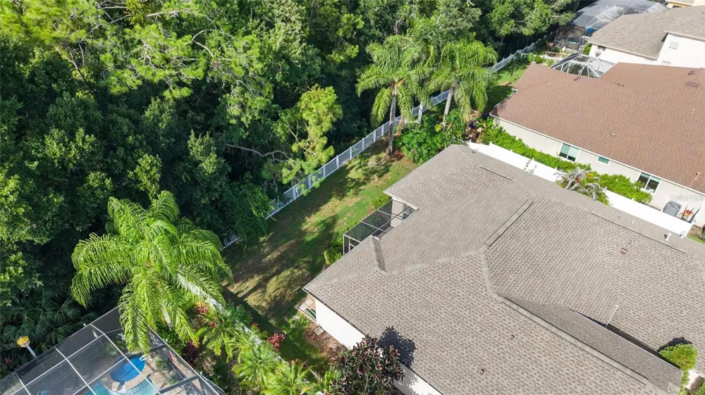 16132 IVY LAKE DRIVE Odessa, FL 33556