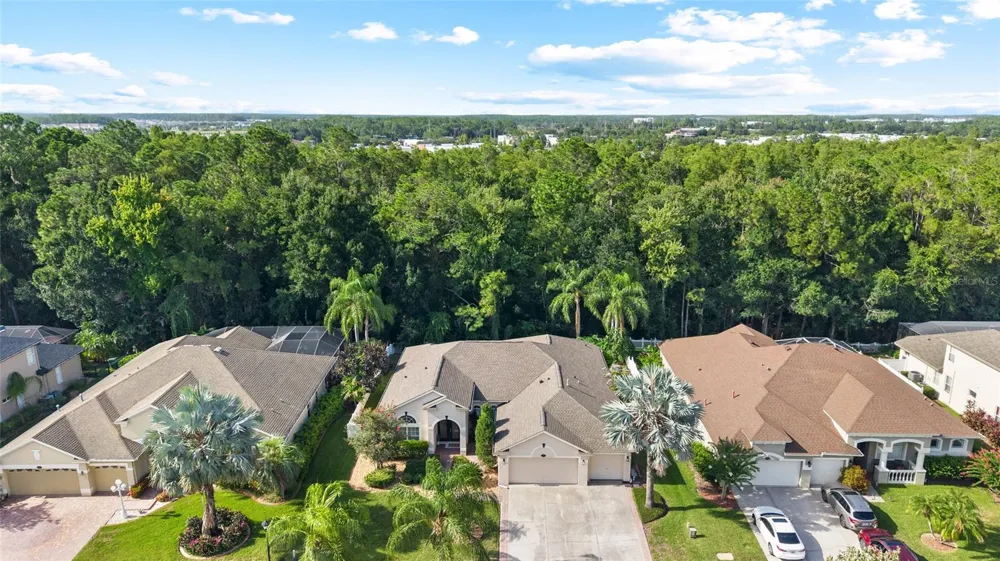16132 IVY LAKE DRIVE Odessa, FL 33556