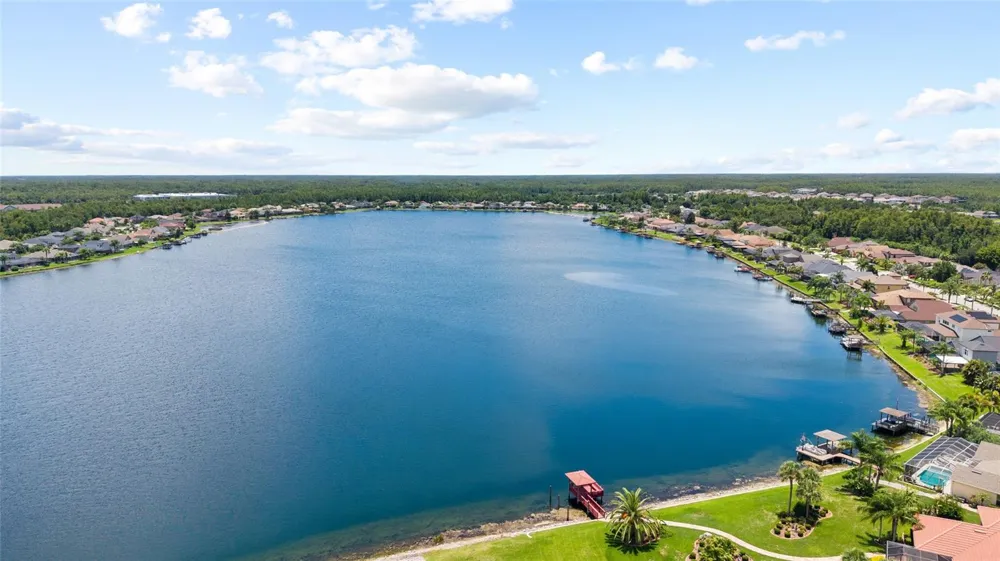 16132 IVY LAKE DRIVE Odessa, FL 33556