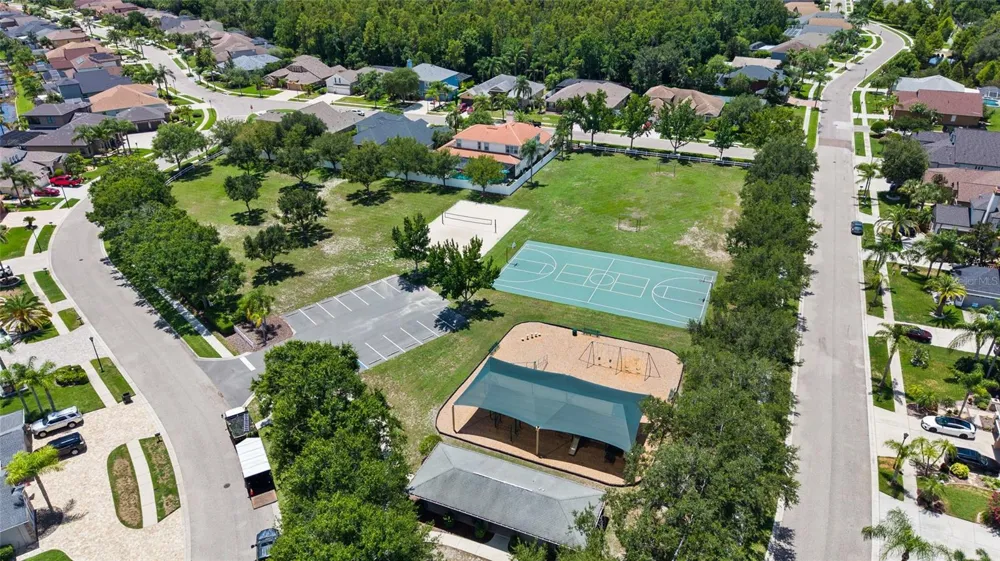 16132 IVY LAKE DRIVE Odessa, FL 33556
