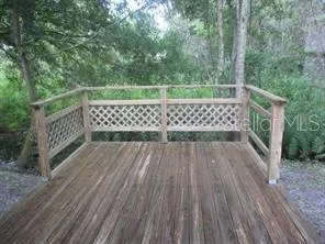 4851 BILLY DIRECT LANE Lutz, FL 33559