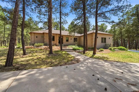 3925 Wavy Oak Drive