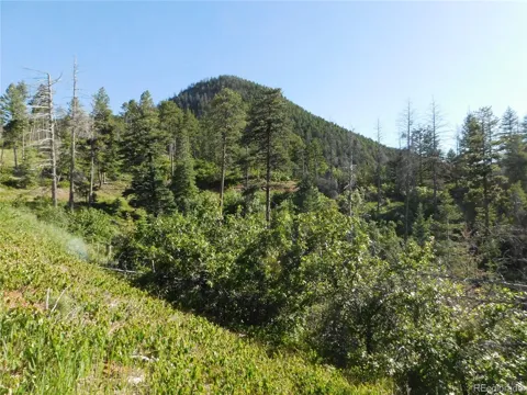 5425 Cheyenne Drive