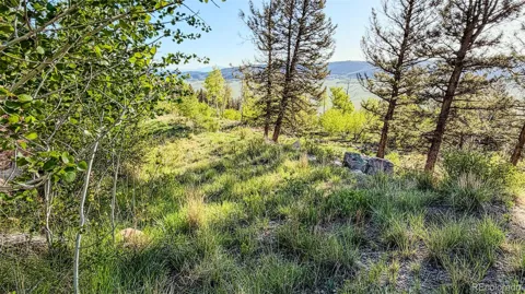 4924 Middle Fork Vista