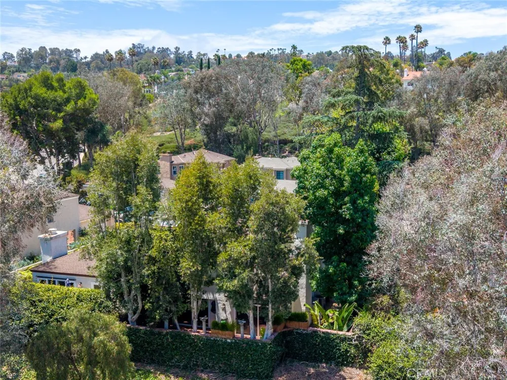29242 Pompano Laguna Niguel, CA 92677