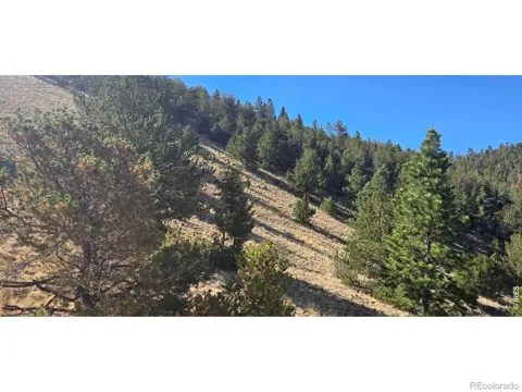 0 County Road 41g (Camero Road)