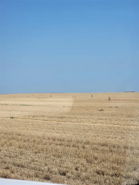 0 County Road 81