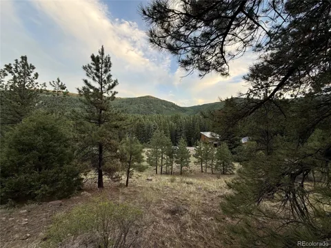 2 Beaver Trail