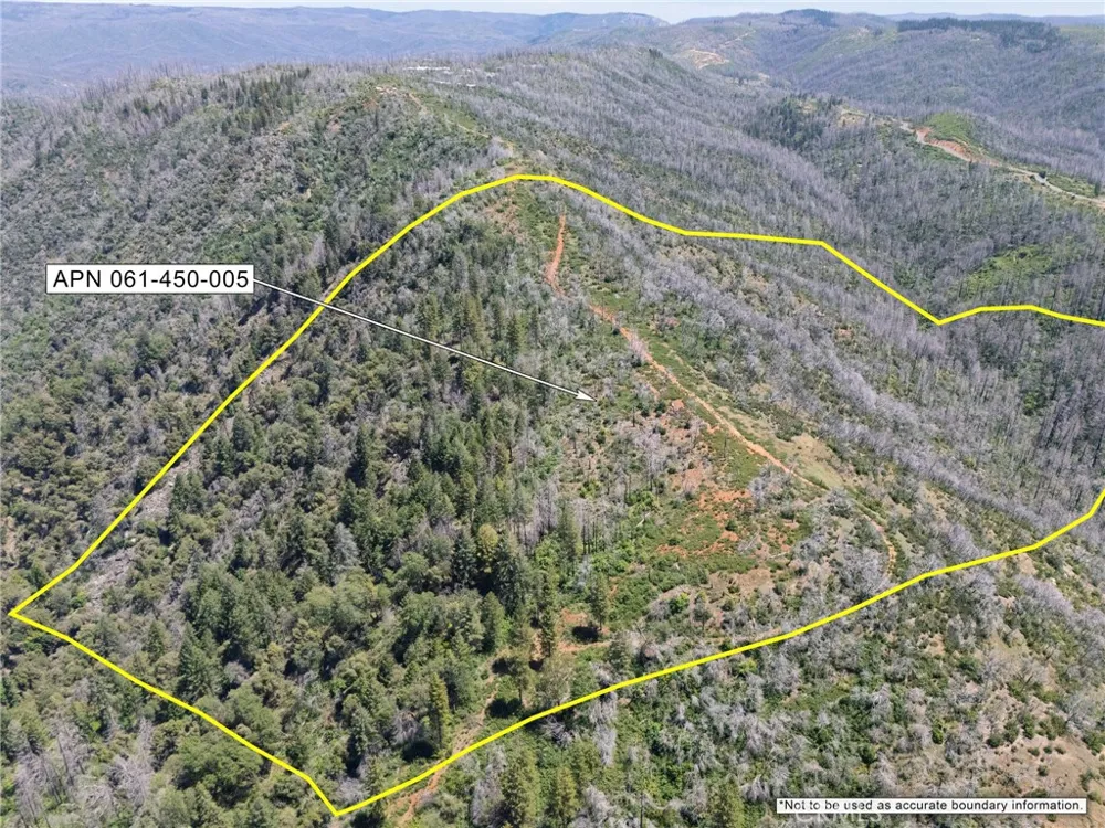 Stephens Ridge Road Berry Creek, CA 95916