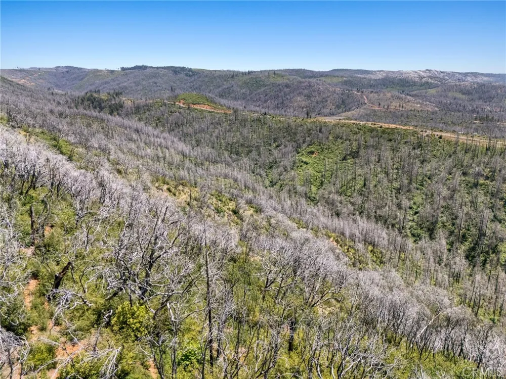 Stephens Ridge Road Berry Creek, CA 95916