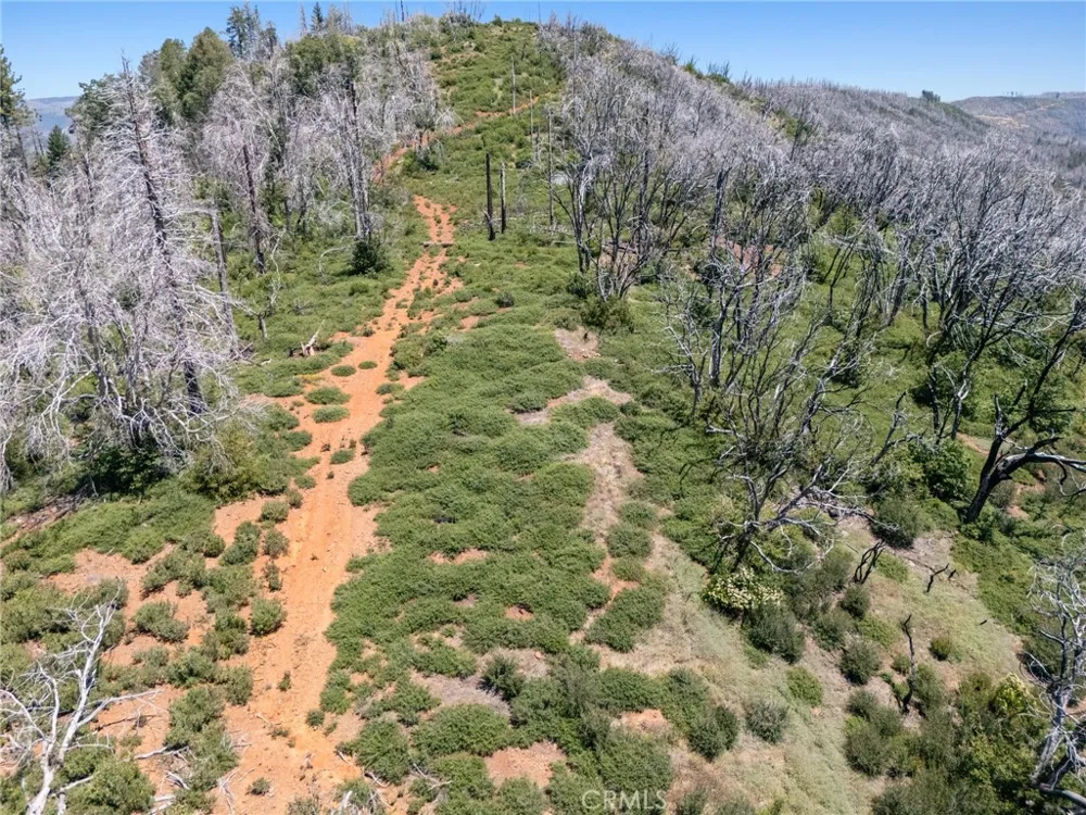 Stephens Ridge Road Berry Creek, CA 95916