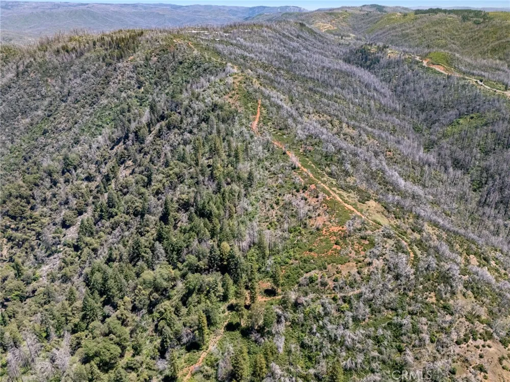 Stephens Ridge Road Berry Creek, CA 95916