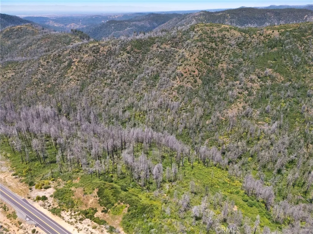 Stephens Ridge Road Berry Creek, CA 95916