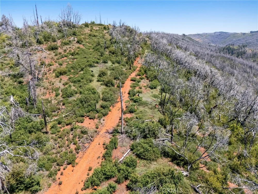 Stephens Ridge Road Berry Creek, CA 95916