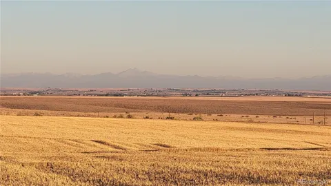 0 County Road 81