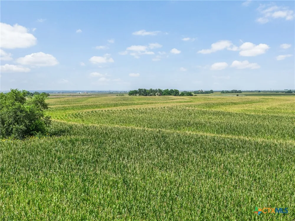 18108 Werchan Lane Coupland, TX 78615
