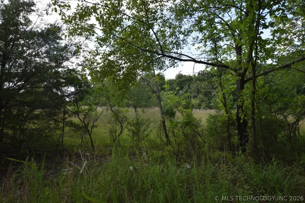 36005 Hwy 20 Jay, OK 74346