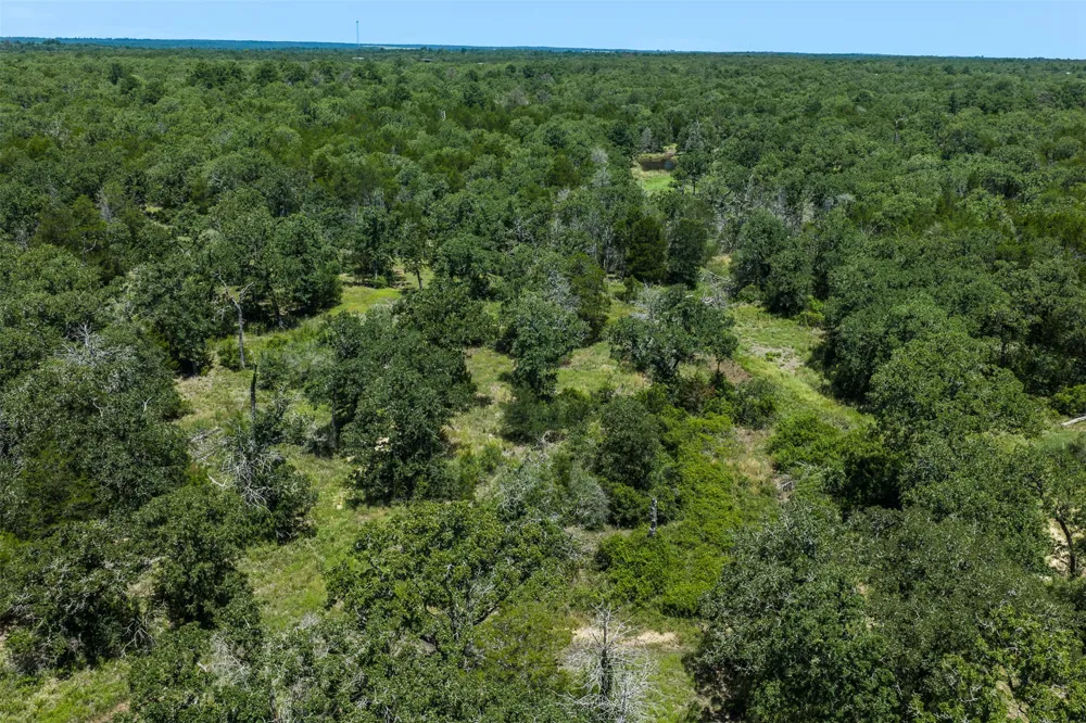 492 S Old Potato Road Paige, TX 78659