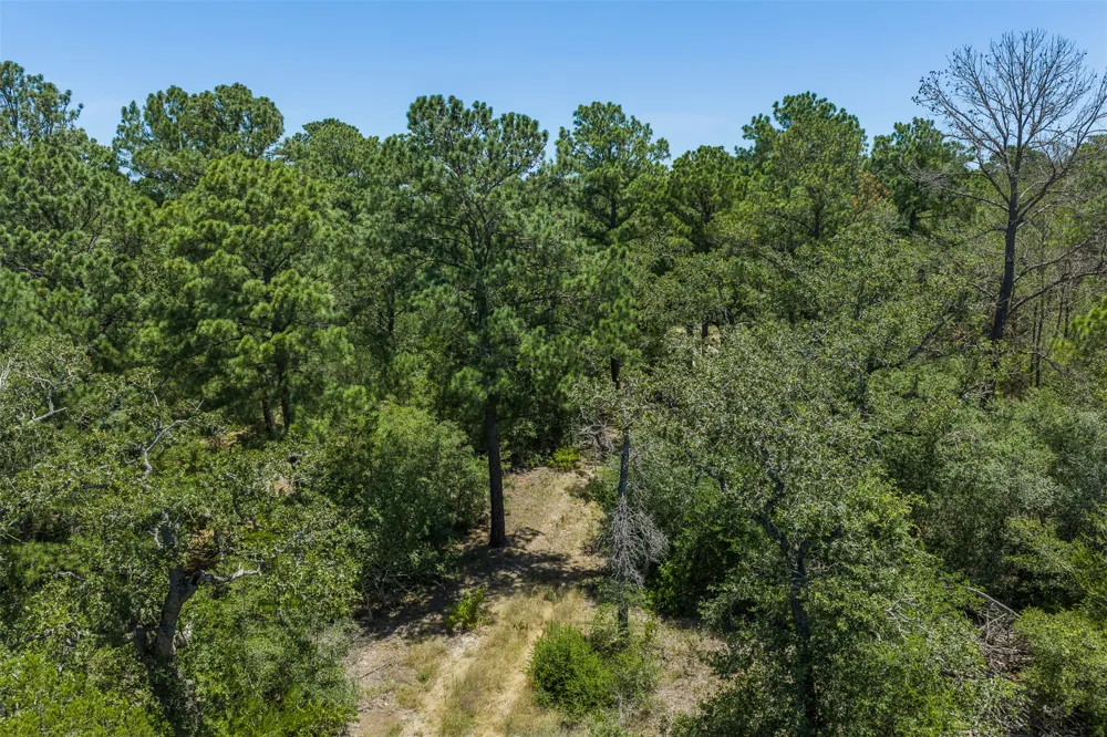 492 S Old Potato Road Paige, TX 78659