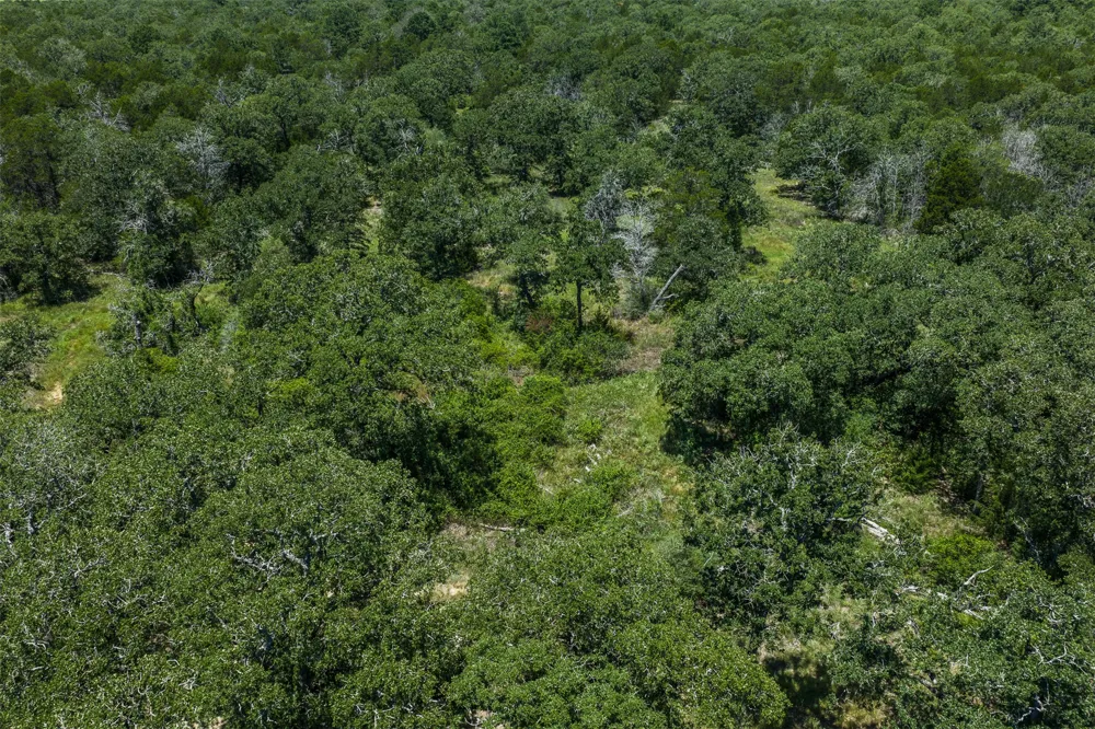 492 S Old Potato Road Paige, TX 78659